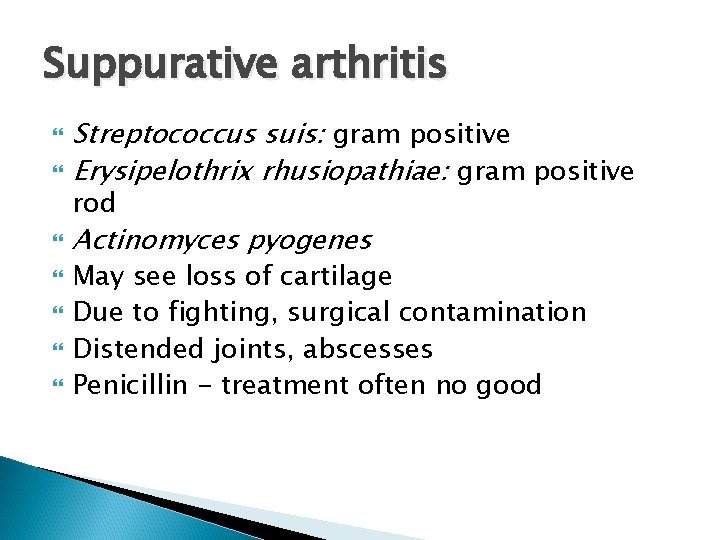 Suppurative arthritis Streptococcus suis: gram positive Erysipelothrix rhusiopathiae: gram positive Actinomyces pyogenes rod May
