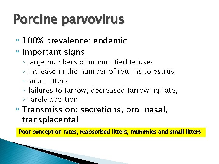 Porcine parvovirus 100% prevalence: endemic Important signs ◦ ◦ ◦ large numbers of mummified