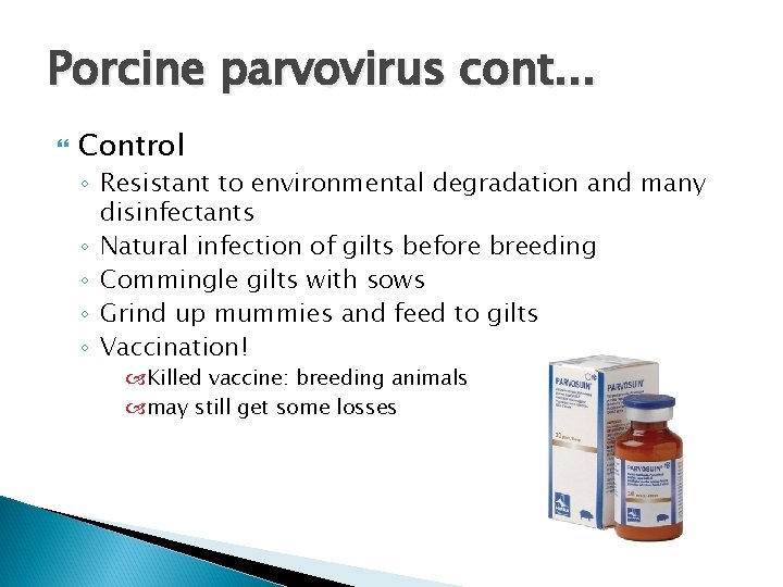Porcine parvovirus cont. . . Control ◦ Resistant to environmental degradation and many disinfectants