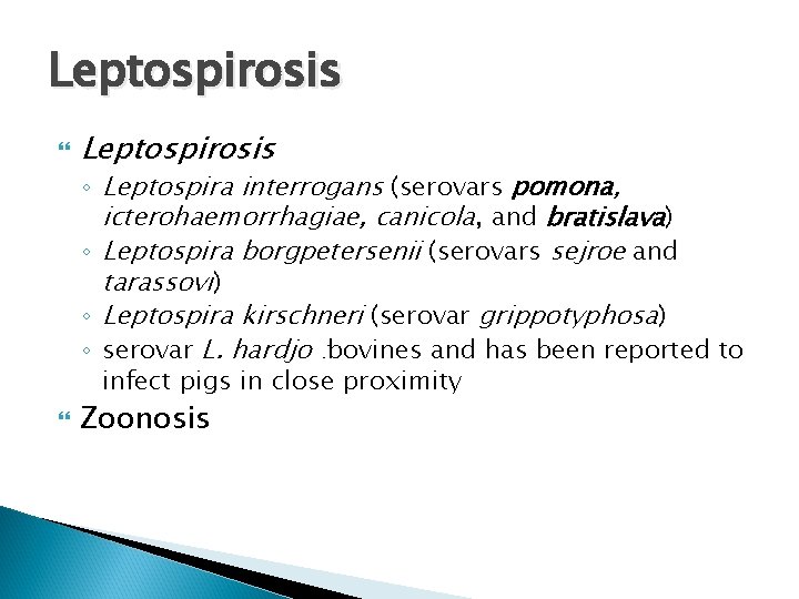 Leptospirosis ◦ Leptospira interrogans (serovars pomona, icterohaemorrhagiae, canicola, and bratislava) ◦ Leptospira borgpetersenii (serovars