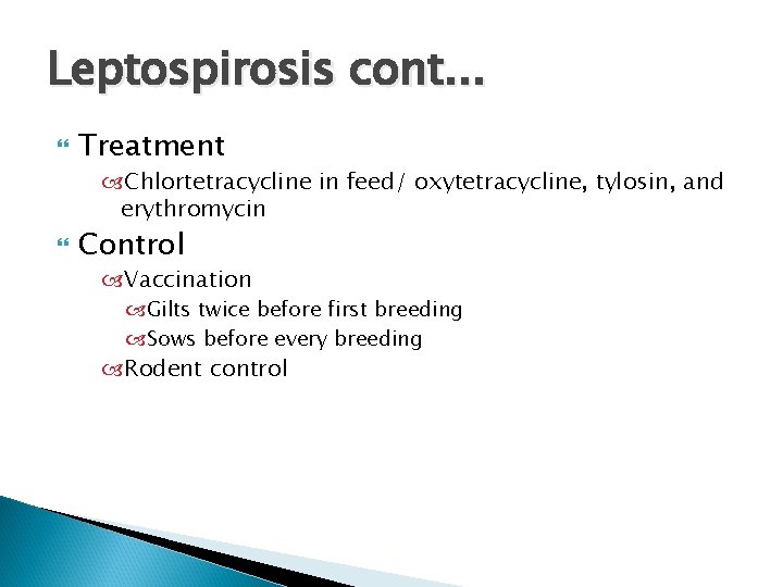 Leptospirosis cont. . . Treatment Chlortetracycline in feed/ oxytetracycline, tylosin, and erythromycin Control Vaccination
