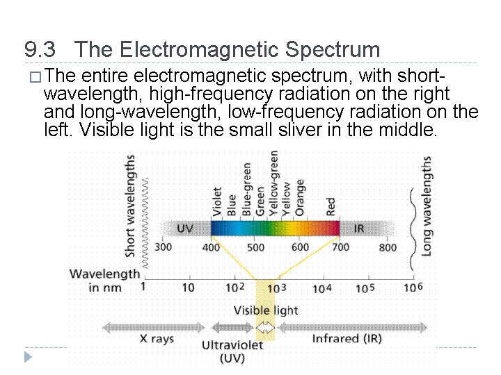 9. 3 The Electromagnetic Spectrum �The entire electromagnetic spectrum, with shortwavelength, high-frequency radiation on 9. 3 The Electromagnetic Spectrum �The entire electromagnetic spectrum, with shortwavelength, high-frequency radiation on