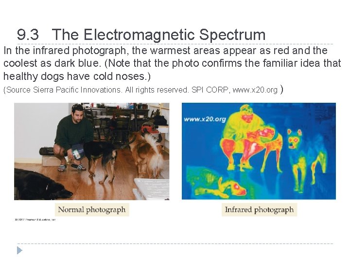 9. 3 The Electromagnetic Spectrum In the infrared photograph, the warmest areas appear as 9. 3 The Electromagnetic Spectrum In the infrared photograph, the warmest areas appear as