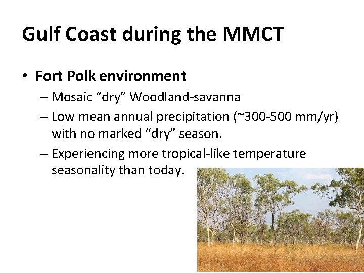 Gulf Coast during the MMCT • Fort Polk environment – Mosaic “dry” Woodland-savanna –