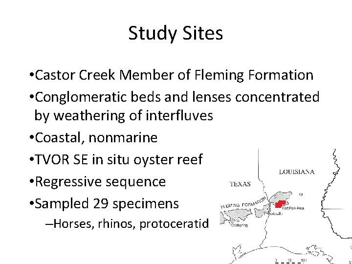 Study Sites • Castor Creek Member of Fleming Formation • Conglomeratic beds and lenses