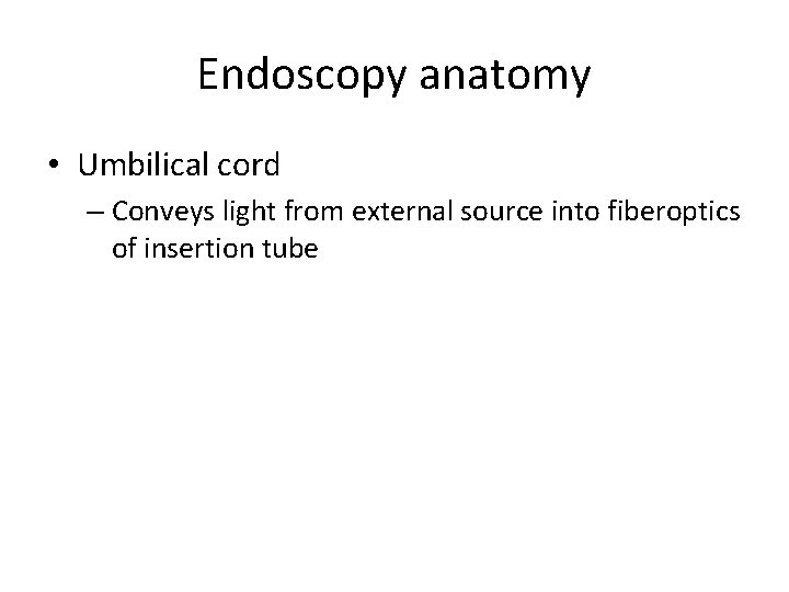 Endoscopy anatomy • Umbilical cord – Conveys light from external source into fiberoptics of