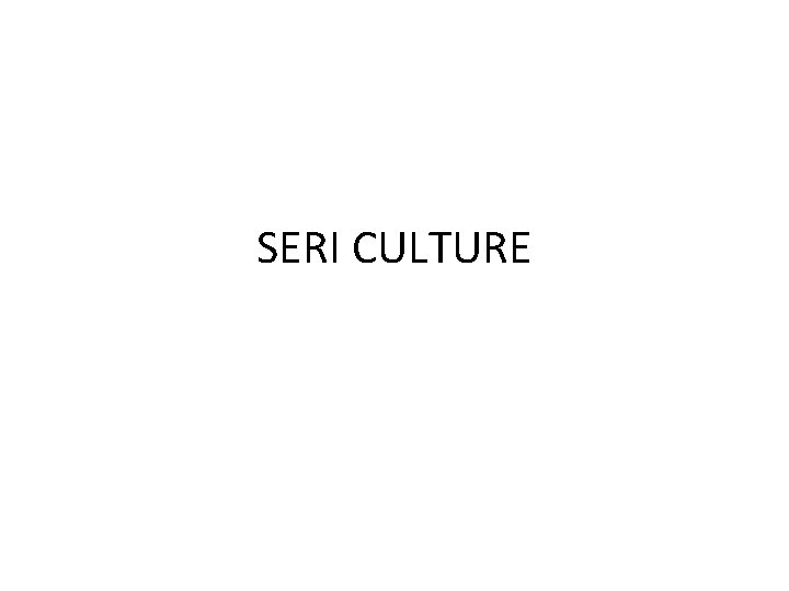 SERI CULTURE 