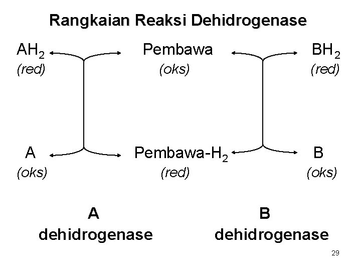 Rangkaian Reaksi Dehidrogenase AH 2 Pembawa A Pembawa-H 2 (red) (oks) BH 2 (oks)