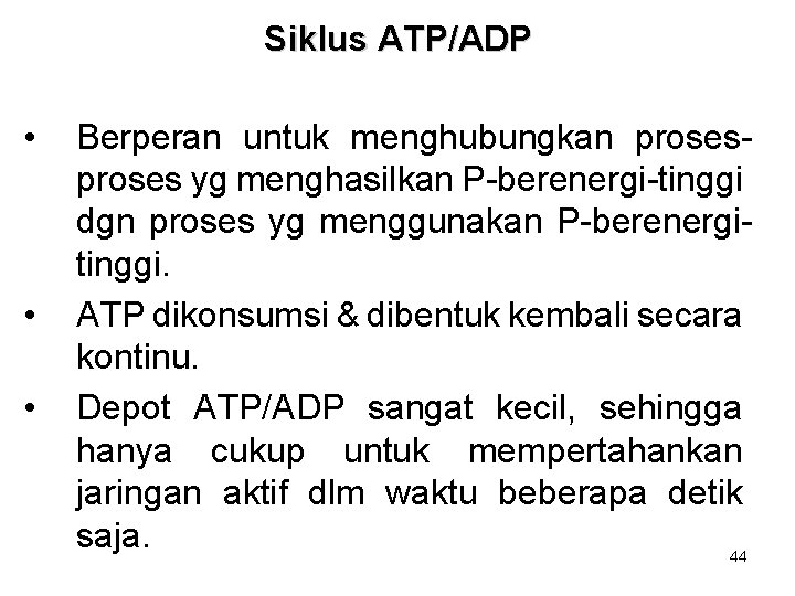 Siklus ATP/ADP • • • Berperan untuk menghubungkan proses yg menghasilkan P-berenergi-tinggi dgn proses
