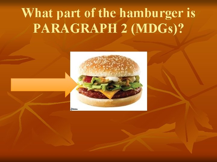 What part of the hamburger is PARAGRAPH 2 (MDGs)? 