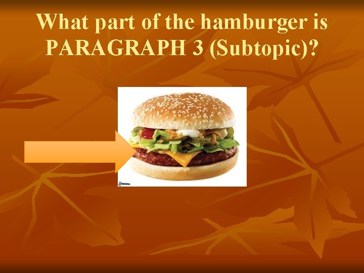 What part of the hamburger is PARAGRAPH 3 (Subtopic)? 