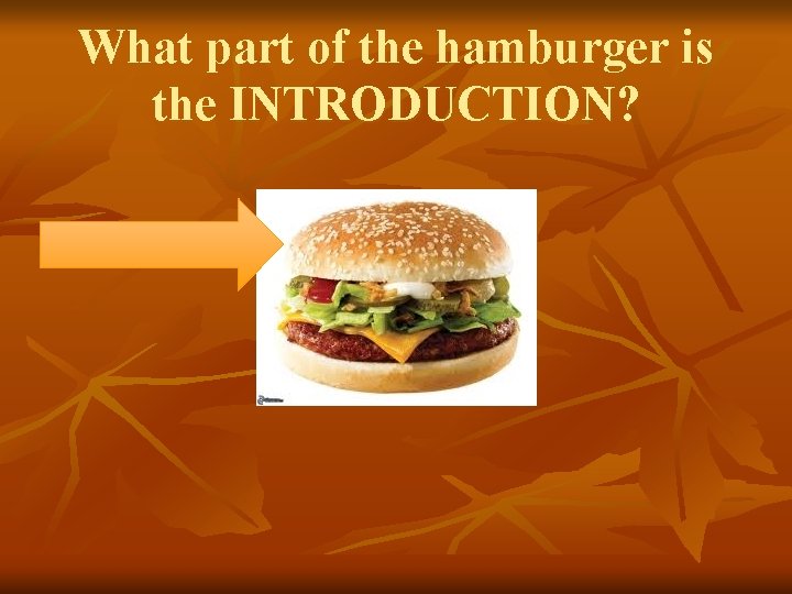 What part of the hamburger is the INTRODUCTION? 