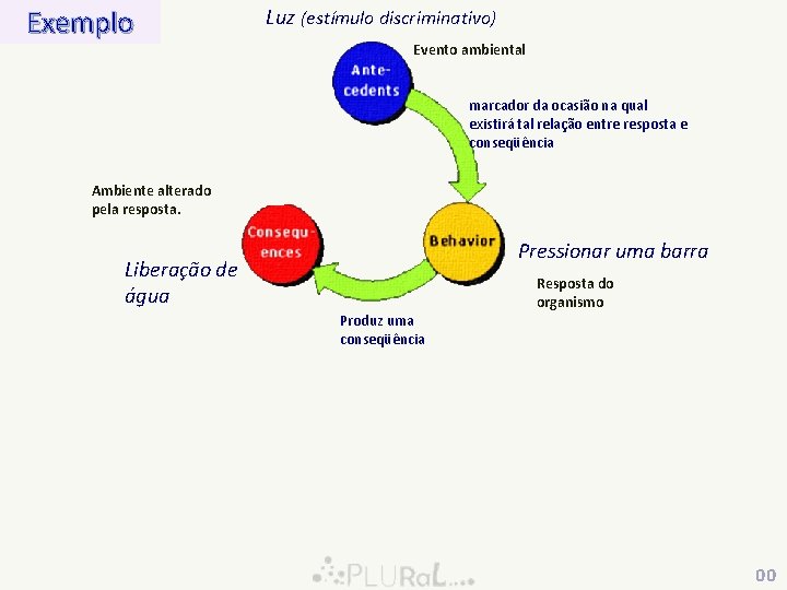 Exemplo Luz (estímulo discriminativo) Evento ambiental marcador da ocasião na qual existirá tal relação