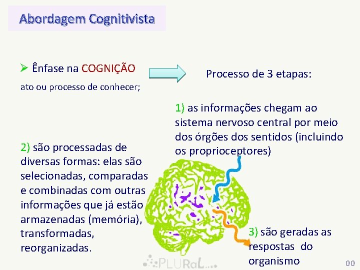 Abordagem Cognitivista Ø Ênfase na COGNIÇÃO ato ou processo de conhecer; 2) são processadas