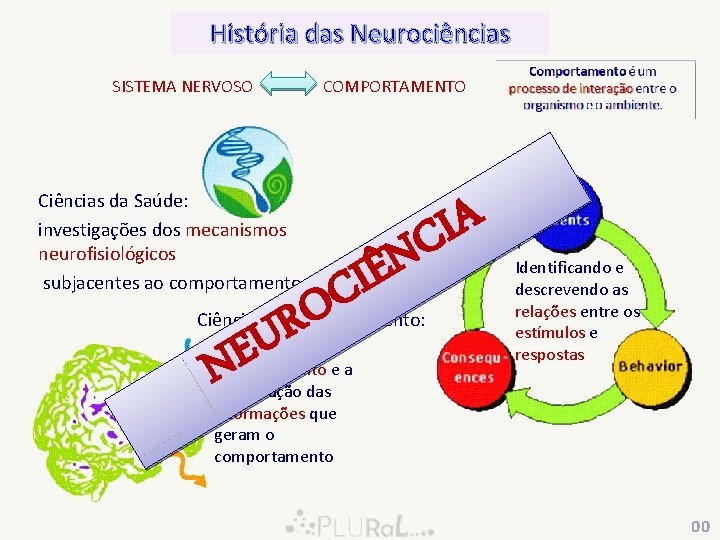 História das Neurociências SISTEMA NERVOSO Ciências da Saúde: investigações dos mecanismos neurofisiológicos subjacentes ao