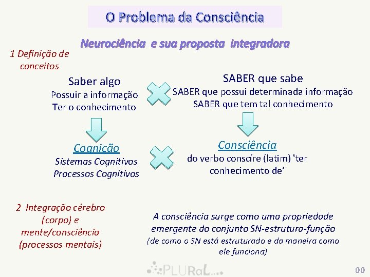 O Problema da Consciência 1 Definição de conceitos Neurociência e sua proposta integradora Saber