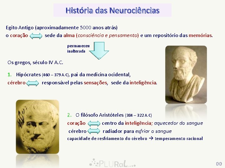 História das Neurociências Egito Antigo (aproximadamente 5000 anos atrás) o coração sede da alma