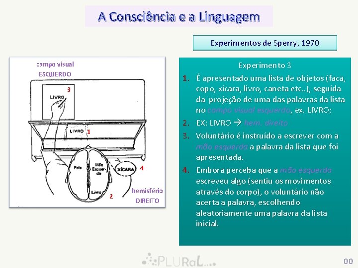 A Consciência e a Linguagem Experimentos de Sperry, 1970 campo visual ESQUERDO 1. 3