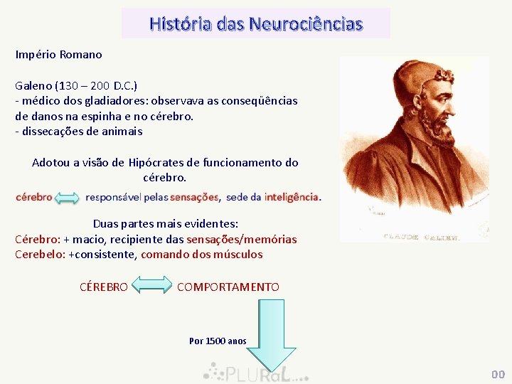 História das Neurociências Império Romano Galeno (130 – 200 D. C. ) - médico