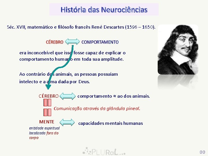 História das Neurociências Séc. XVII, XVII matemático e filósofo francês René Descartes (1596 –