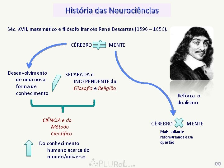 História das Neurociências Séc. XVII, XVII matemático e filósofo francês René Descartes (1596 –