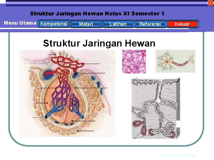 X Struktur Jaringan Hewan Kelas XI Semester 1 Menu Utama Kompetensi Materi Latihan Referensi