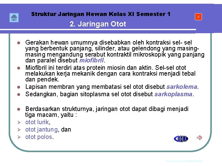 Struktur Jaringan Hewan Kelas XI Semester 1 X 2. Jaringan Otot Gerakan hewan umumnya