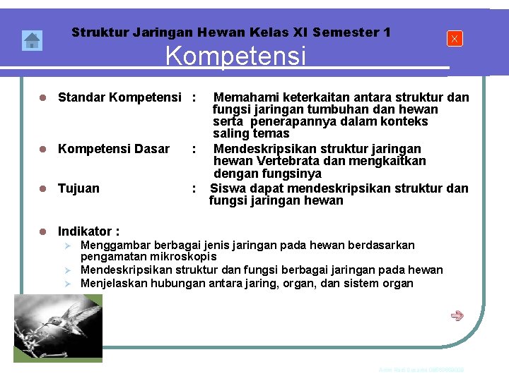 Struktur Jaringan Hewan Kelas XI Semester 1 Kompetensi l Standar Kompetensi : l Kompetensi