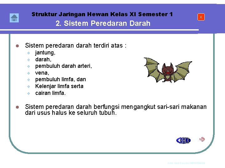 Struktur Jaringan Hewan Kelas XI Semester 1 2. Sistem Peredaran Darah l Sistem peredaran