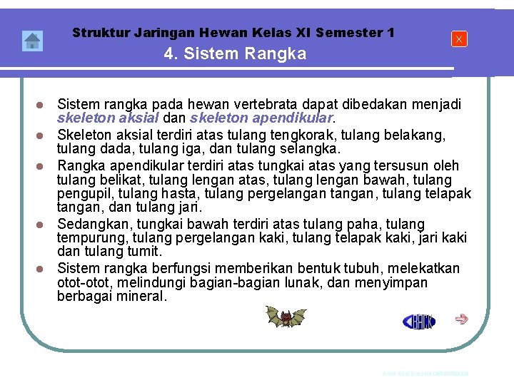 Struktur Jaringan Hewan Kelas XI Semester 1 4. Sistem Rangka l l l X