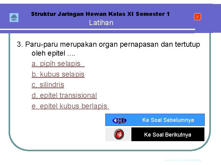 Struktur Jaringan Hewan Kelas XI Semester 1 Latihan X 3. Paru-paru merupakan organ pernapasan