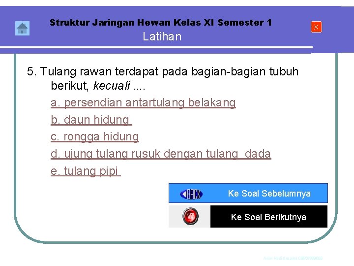 Struktur Jaringan Hewan Kelas XI Semester 1 Latihan X 5. Tulang rawan terdapat pada