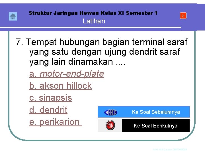 Struktur Jaringan Hewan Kelas XI Semester 1 Latihan X 7. Tempat hubungan bagian terminal