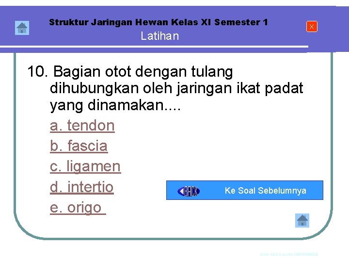 Struktur Jaringan Hewan Kelas XI Semester 1 Latihan X 10. Bagian otot dengan tulang