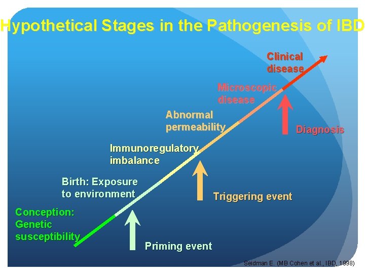 Hypothetical Stages in the Pathogenesis of IBD Clinical disease Microscopic disease Abnormal permeability Diagnosis