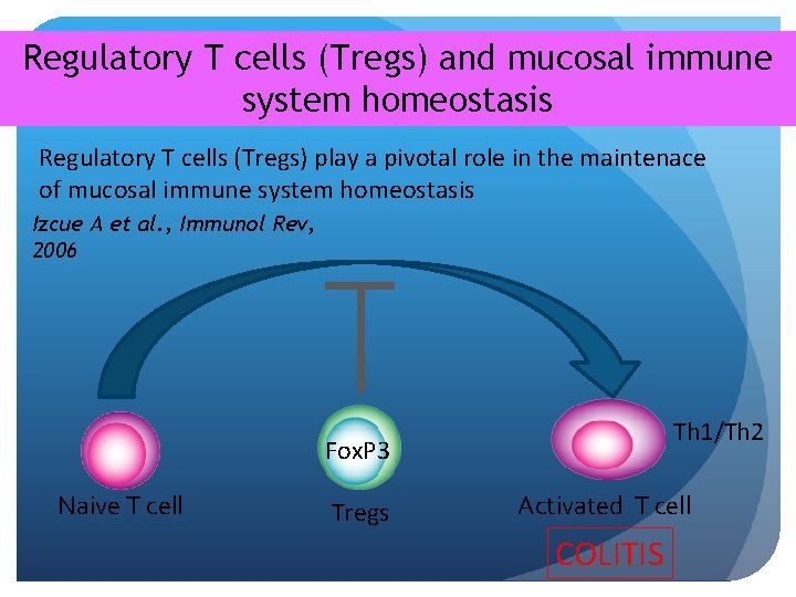 Regulatory T cells (Tregs) and mucosal immune system homeostasis Regulatory T cells (Tregs) play