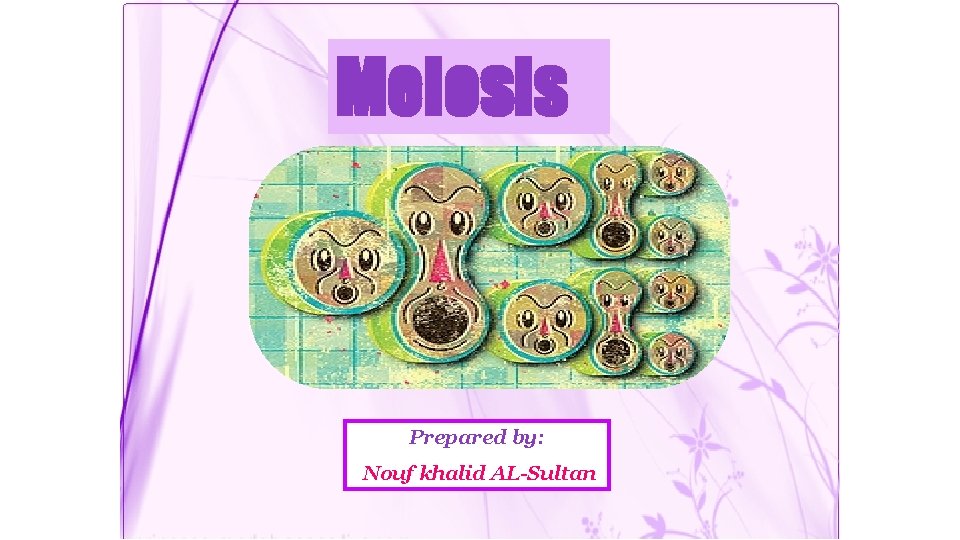 Meiosis Prepared by: Nouf khalid AL-Sultan 