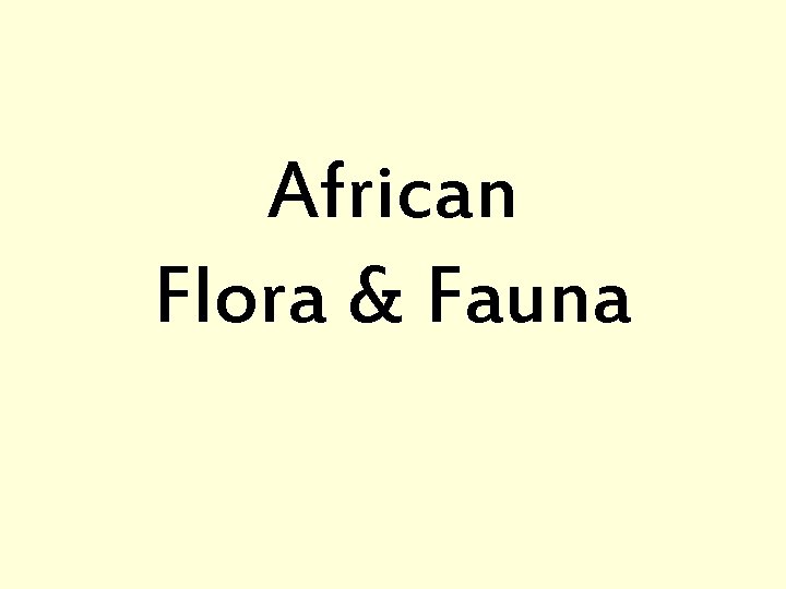 African Flora & Fauna 