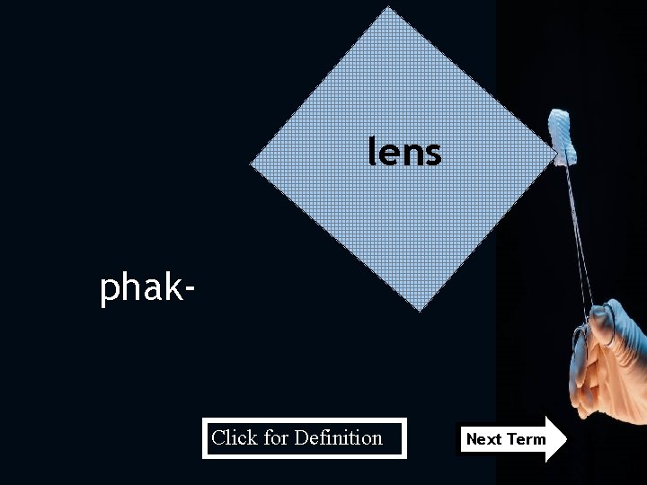 lens phak- Click for Definition Next Term 