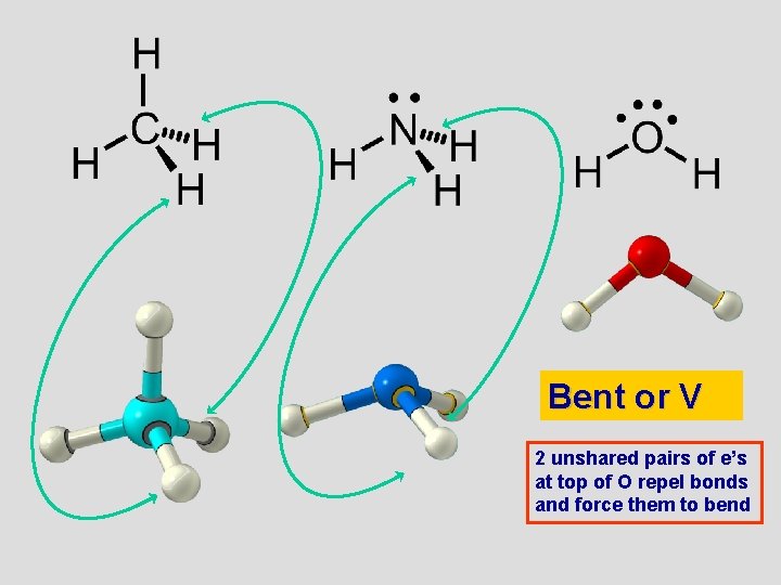 Bent or V 2 unshared pairs of e’s at top of O repel bonds