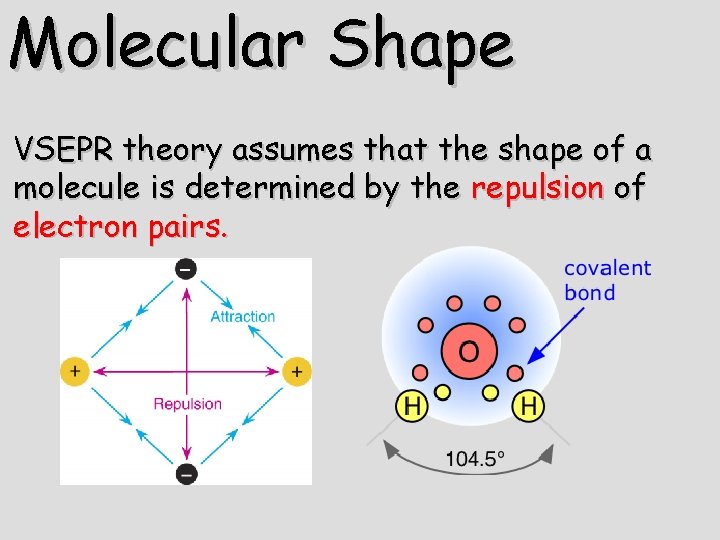 Molecular Shape VSEPR theory assumes that the shape of a molecule is determined by