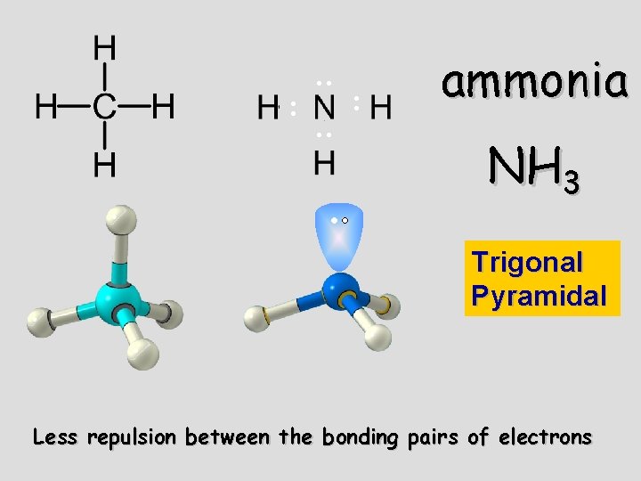 . . . . ammonia NH 3 Trigonal Pyramidal Less repulsion between the bonding