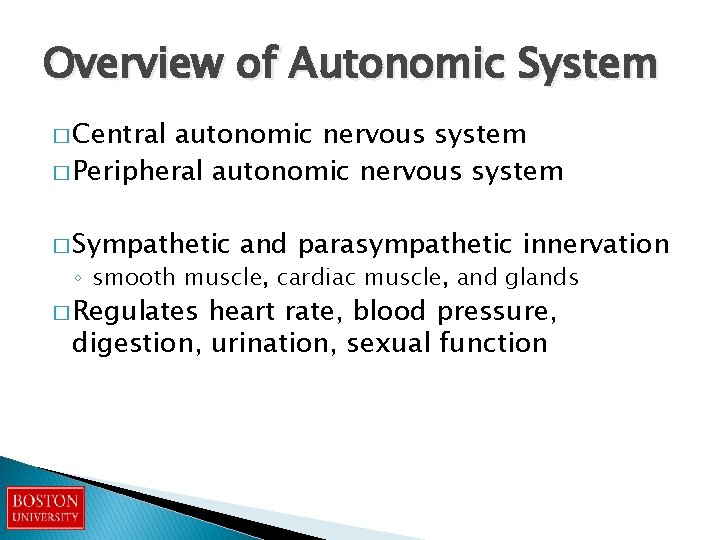 Overview of Autonomic System � Central autonomic nervous system � Peripheral autonomic nervous system