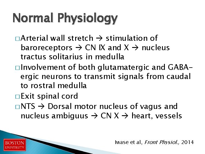 Normal Physiology � Arterial wall stretch stimulation of baroreceptors CN IX and X nucleus