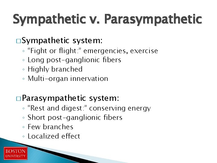 Sympathetic v. Parasympathetic � Sympathetic ◦ ◦ system: “Fight or flight: ” emergencies, exercise