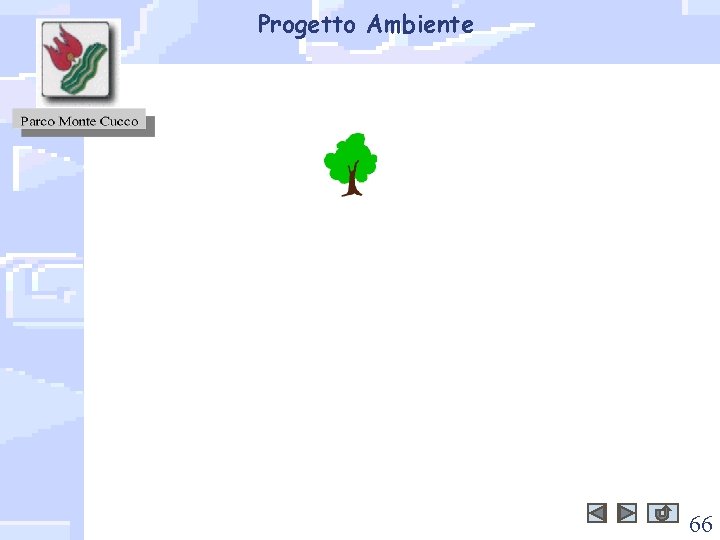 Progetto Ambiente 66 