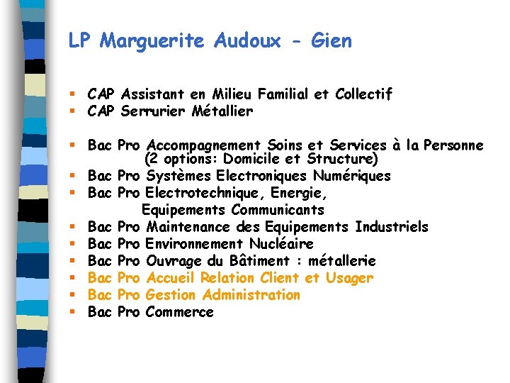 LP Marguerite Audoux - Gien § CAP Assistant en Milieu Familial et Collectif §