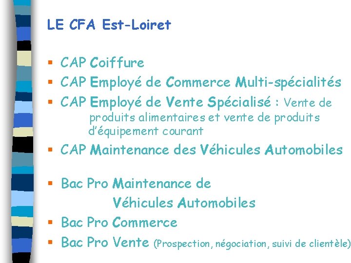 LE CFA Est-Loiret § CAP Coiffure § CAP Employé de Commerce Multi-spécialités § CAP