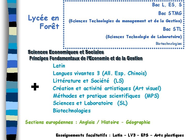 Bac L, ES, S Lycée en Forêt Bac STMG (Sciences Technologies du management et