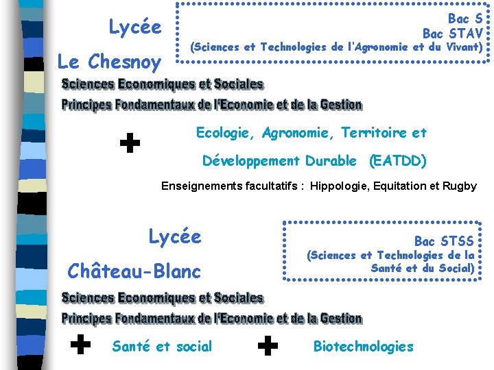 Bac STAV Lycée Le Chesnoy + (Sciences et Technologies de l’Agronomie et du Vivant)